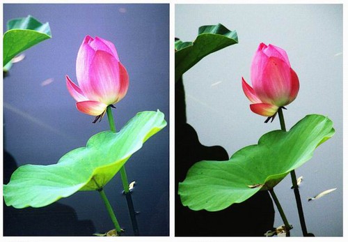 摄影知识普及如何用好滤光镜