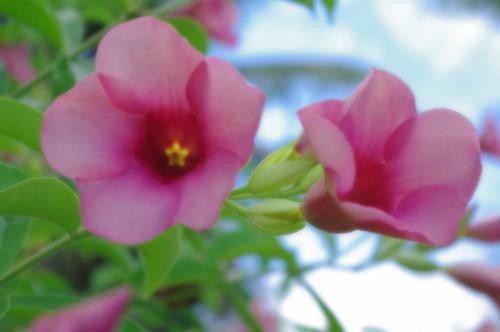 享受数码的乐趣宾得K-7数码滤光镜实拍(3)