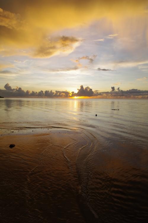 享受数码的乐趣宾得K-7数码滤光镜实拍(4)