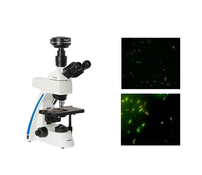 荧光显微镜光学镜片分析