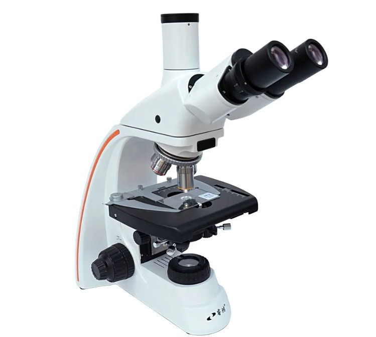 偏光显微镜使用方法 偏光显微镜使用方法