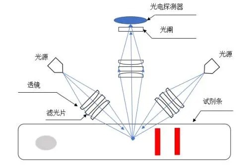 荧光层析仪非共聚焦光路 荧光层析仪非共聚焦光路