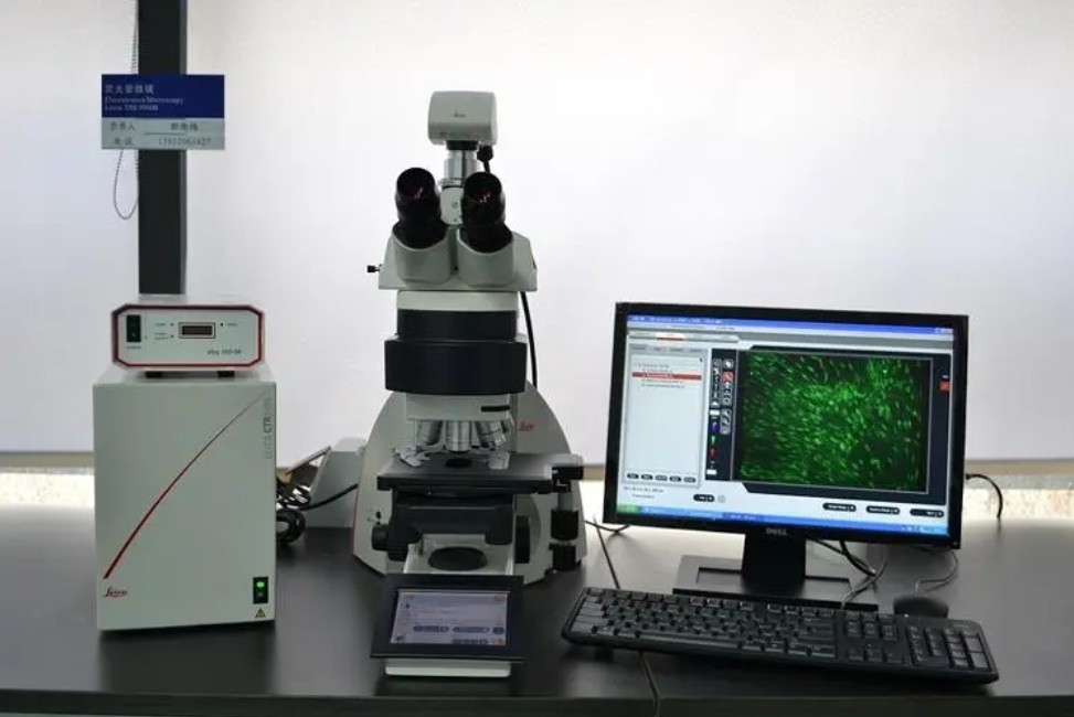 滤光片 生物医学应用