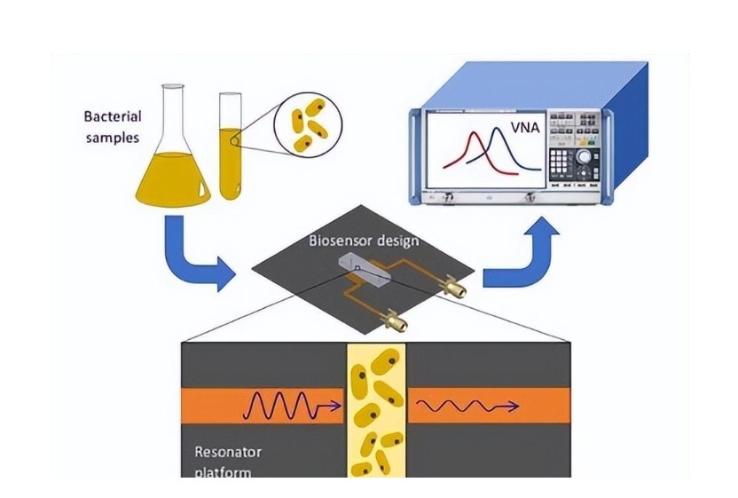生物样本光学传感器中有色玻璃的应用 生物样本光学传感器中有色玻璃的应用