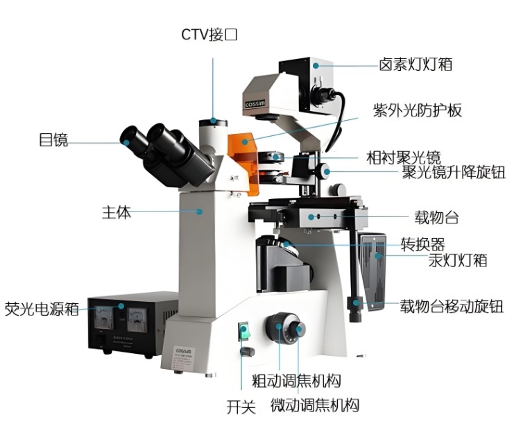 倒置荧光显微镜组成 倒置荧光显微镜组成