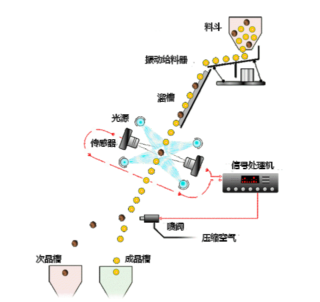 色选机工作原理动态图