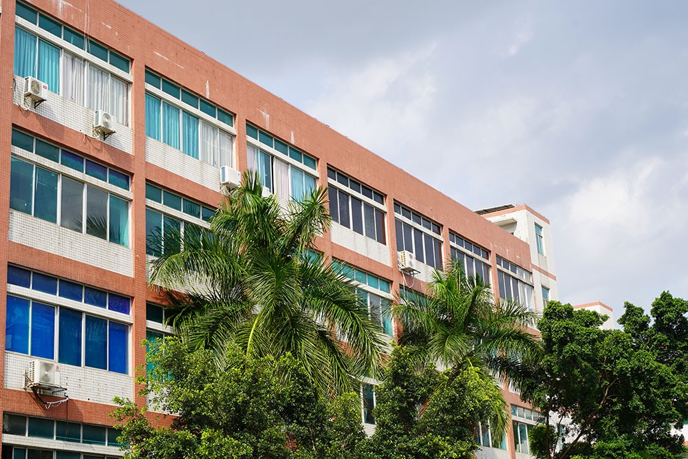 破冰夏日，聚力前行——员工趣味运动会全记录