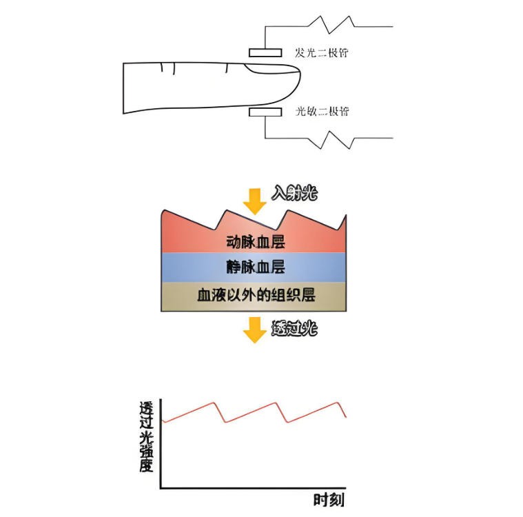 脉搏血氧仪简介与光学原理< 脉搏血氧仪简介与光学原理<