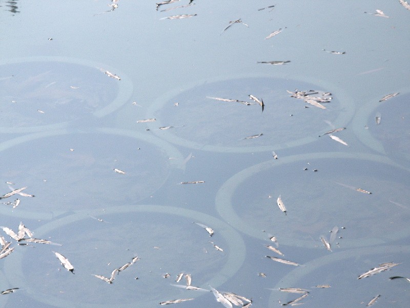滤光片 偏振镜光学原理和在机器视觉中的应用