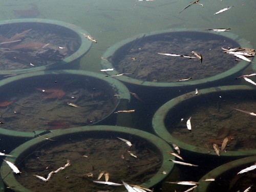 滤光片 偏振镜光学原理