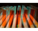 光子美容仪IPL滤光片