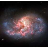 在滤光片加持下哈勃望远镜拍摄的棒旋星系NGC1385图像