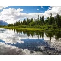 电磁波、紫外线和红外线