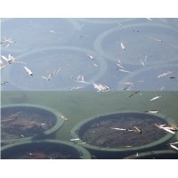 偏振镜光学原理和在机器视觉中的应用