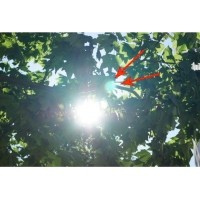 一文带你了解镜头眩光以及如何避免